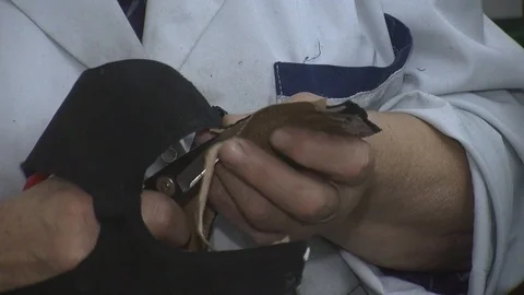 Manually cutting of skin Stock Footage 90277956