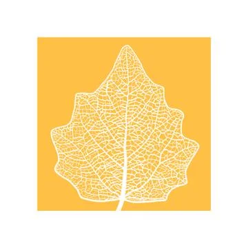 Manually drawn leaf skeleton Illustrazione stock