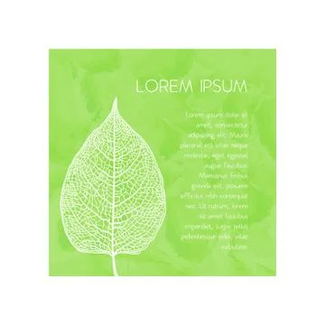 Manually drawn leaf skeleton Illustrazione stock