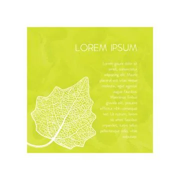 Manually drawn leaf skeleton Illustrazione stock