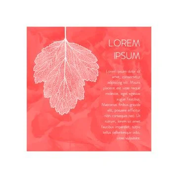 Manually drawn leaf skeleton Illustrazione stock