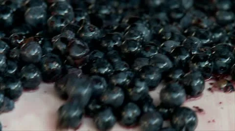 Manually partition of grapes on the conveyor line at a winery Stock Footage