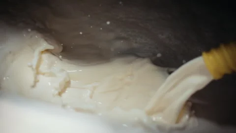 Manufacture of cheese. Stock Footage 244735474