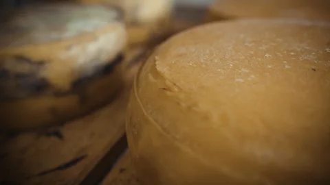 Manufacture of cheese. Video stock 244735484