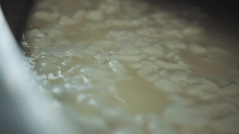 Manufacture of cheese. Video stock 244735749