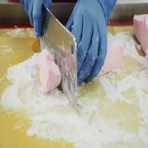 Manufacture of marshmallow Stock Footage 69478619