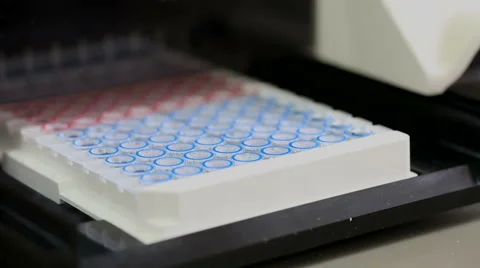 Manufactured Microplate in Compact programmable 8-channel washer aspirator Stock Footage 61721014