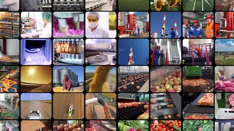 Manufacturing Industry - Split Screen Video Stock Footage 306613544