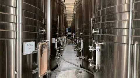 Manufacturing wine industry brewery Stock Footage 254047073