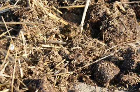 Manure, compost  Stock Photos