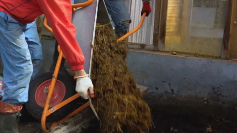 Manure is dumped on a greenhouse. Video stock 89346845