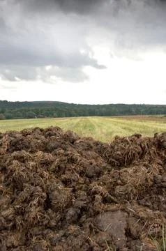 Manure heap Stock Photos