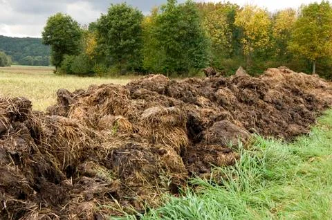 Manure heap Stock Photos