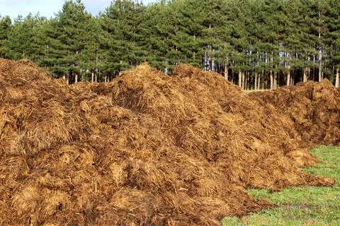 Manure Stock Photos