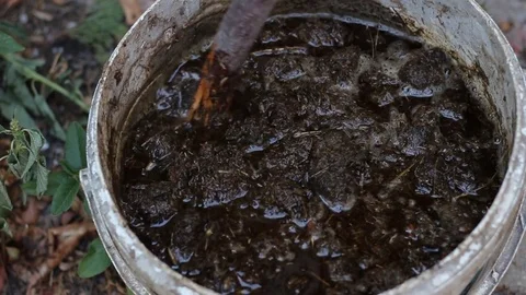 Manure tea for garden Stock Footage 79334615