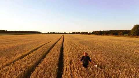 Manwalking in wheat field Stock Footage 135107808