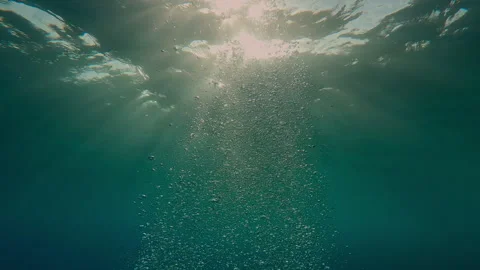 Many air bubbles rise to surface of water with waves on them in rays of evening Stock Footage 322196988