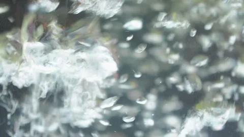 Many air bubbles in water close up Stock Footage 280270661