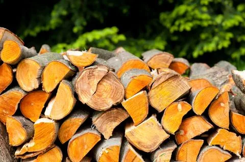 Many alder logs wood split heap Foto stock