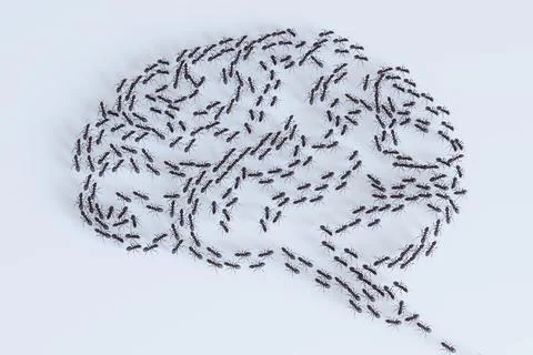 Many ants on white background creating shape of a brain. Swarm intelligence.. Stock-Fotos