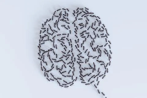 Many ants on white background creating shape of a brain. Swarm intelligence.. Stock Photos