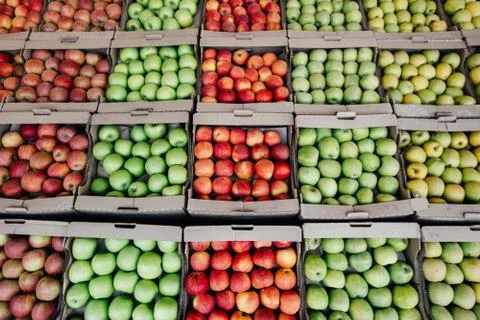 Many apples. Apple texture. Apple pattern. Apples close up. Stock Photos