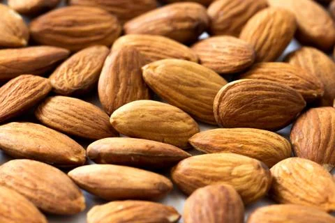 Many of apricot kernels full screen Stock Photos
