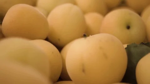 Many apricots close-up Video stock 90312511