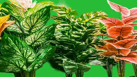 Many artificial decorative trees Stock Photos