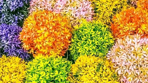 Many artificial flowers Stock Photos