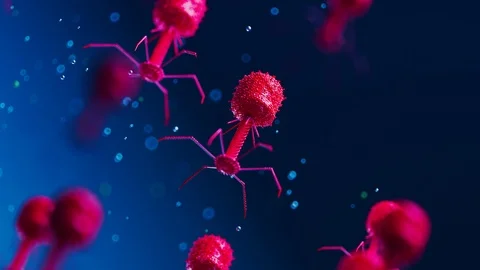 Many bacteriophages or phages floating and slowly moving in the organism. Video stock 126308672