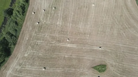 Many bales of hay on the field Stock Footage 200009940
