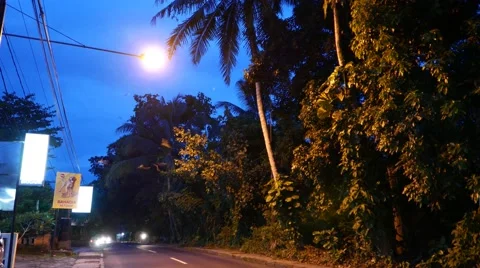 Many bat fly under bright lamp, over night road, hawk moth insects in the air 스톡 동영상 52090837