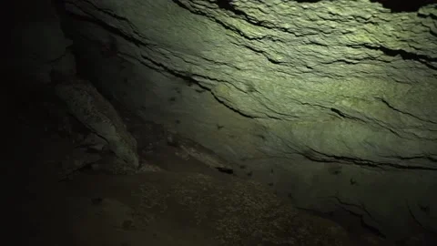 Many bats are flying around in the cave, lit by flashlight, night cave with bats Stock Footage 204862881