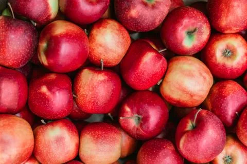 Many beautiful red apples in a box in a supermarket. Red apples background. Stock Photos