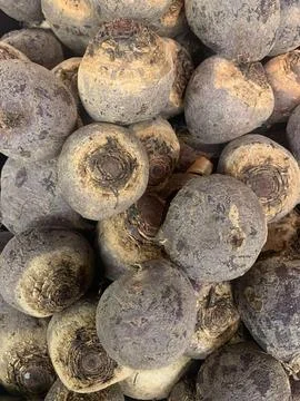 Many beets together Stock Photos