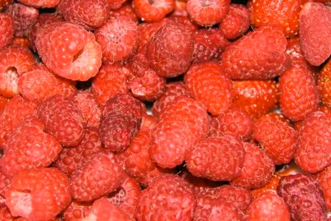 Many berry raspberry for background 스톡 사진