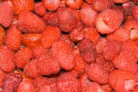 Many berry raspberry for background Stock Photos