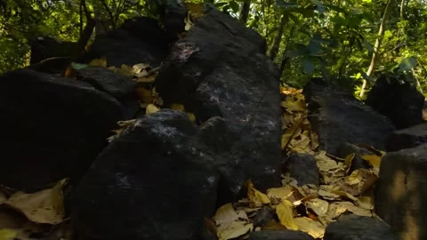Many big rock or stone on hill in the tranquil forest Stock Footage 265203360