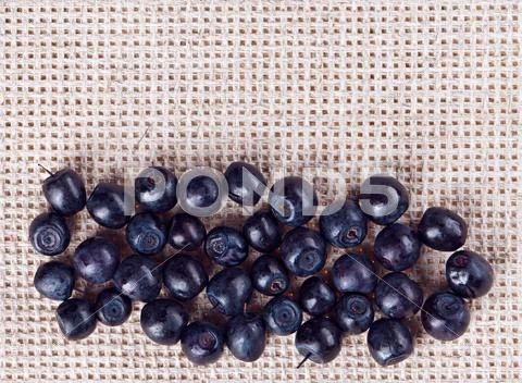 Many bilberry fruits, on gray linen table cloth with copy space design ready Stock Photos