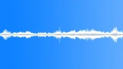 Many birds 03 Sound Effect