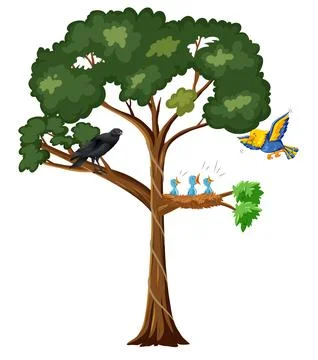 Many birds on the tree Stock Illustration