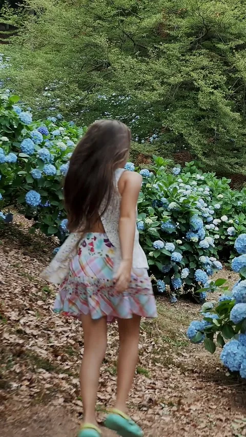 Many blooming hydrangea bushes grow in the park. The girl, the kid, happily runs Stock Footage 315093055