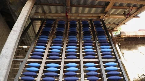 Many blue cotton thread spools spinning at cloth manufacturing cottage Stock Footage 131346303