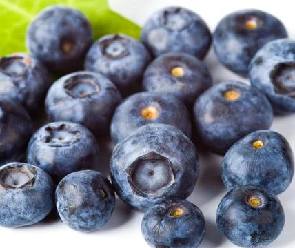 Many blueberries Stock Photos