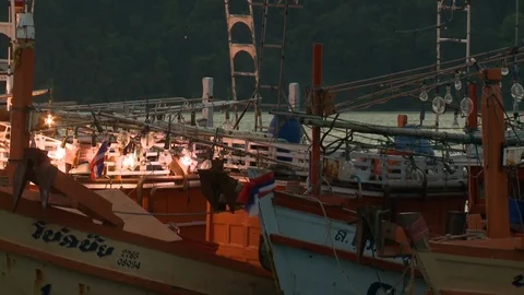 Many Boats at Dock Stock Footage 114584395