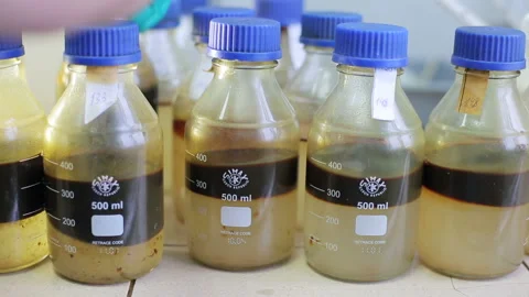 Many bottles with samples of black oil on table in the laboratory. Worker of the Stock Footage 199487288