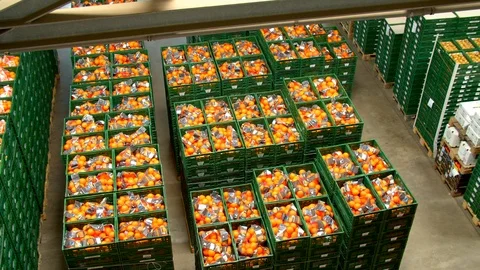 Many boxes of various vegetables waiting to be picked up Stock Footage 124079315
