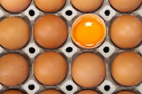 Many brown eggs in egg packaging with one broken egg Stock Photos