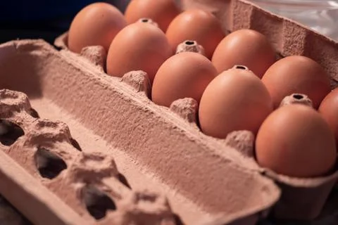 Many brown eggs in the eggbox Stock-Fotos
